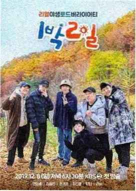 繁花电视连续剧免费播放在线观看高清 片段 夜上海