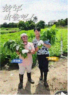 繁花电视连续剧免费播放在线观看高清 片段 离别